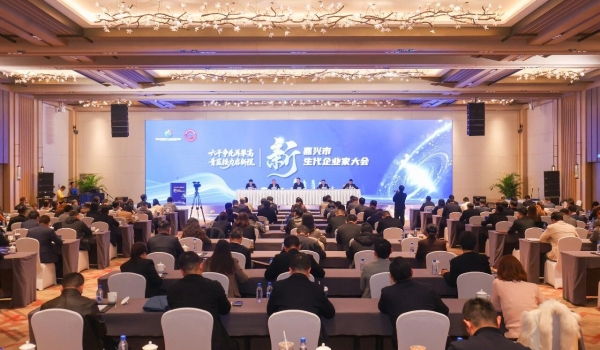 青藍接力啟新程丨潘正強在嘉興新生代企業家大會上談民企“傳與承”